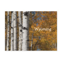 Aspen Alley In Fall Orange Post Card