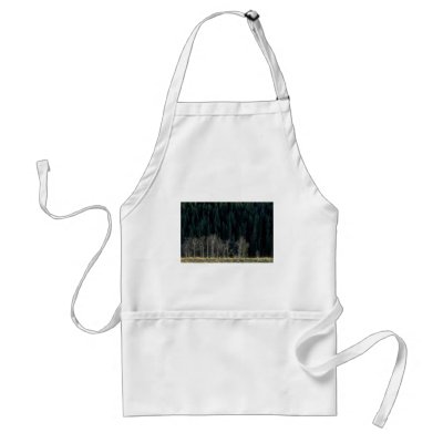 Aspen and spruce forest in the Sheep River Valley, Aprons by lolanimals