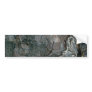 Aspen bark bumper sticker