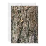 Aspen bark invitations