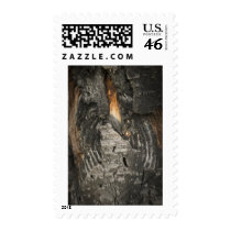 Aspen Bark postage