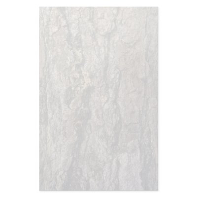Aspen bark stationery paper by inspirelove