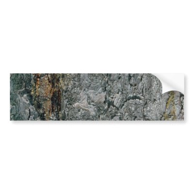 Aspen bark, yellow and grey bumper stickers by inspirelove
