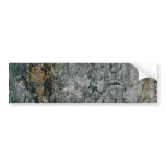 Aspen bark, yellow and grey bumper stickers