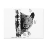 Aspen Bear Postcards