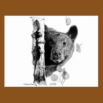 Aspen Bear postcards