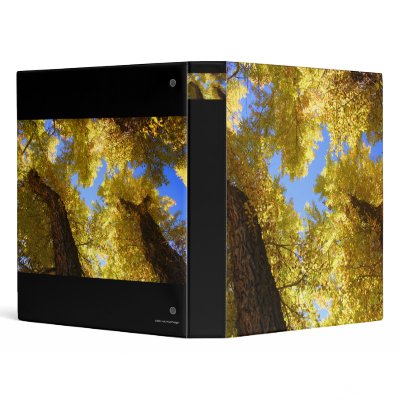 aspen binders by WorldDesign