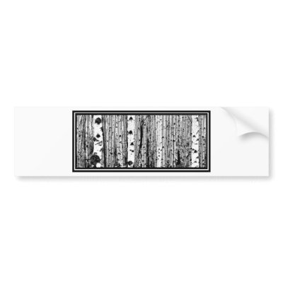 Aspen Bumper Sticker by ninuno