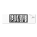 Aspen Bumper Sticker
