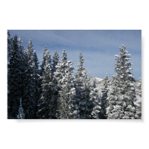 Aspen - Buttermilk Moutain tree tops posters