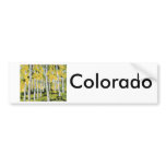 Aspen Calm Bumper Sticker
