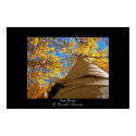 Aspen Dreams posters by kc0nvi Aspen Dreams posters