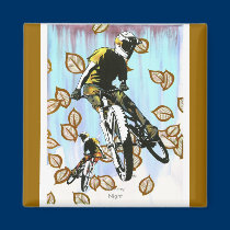 Aspen Folly magnets