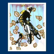 Aspen Folly posters