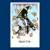 Aspen Folly posters