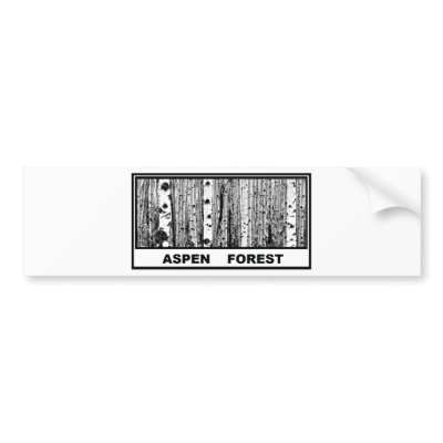 Aspen Forest Bumper Stickers by ninuno
