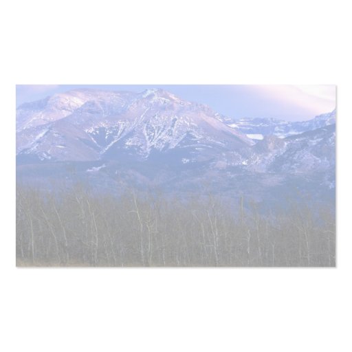 Aspen forest in the Rocky Mountain Foothills, Albe Business Card Template (back side)