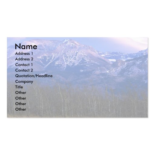 Aspen forest in the Rocky Mountain Foothills, Albe Business Card Template (front side)