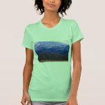 Aspen forest in the Rocky Mountain Foothills, Albe Shirts