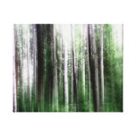 Aspen Forset canvas prints