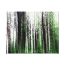 Aspen Forset