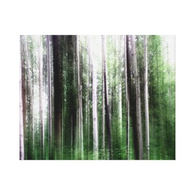 Aspen Forset by lucindawind