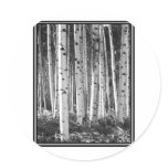 Aspen ghost sticker