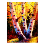 Aspen Glow Post Card