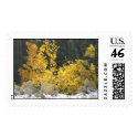 Aspen Glow postage