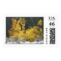 Aspen Glow postage by BikerRally Aspen Glow postage