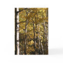 Aspen Gold cards