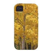 Aspen Gold Portrait Case-Mate iPhone 4 Case