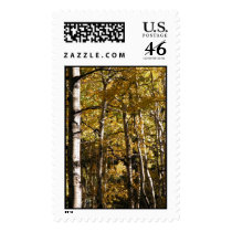 Aspen Gold Stamp
