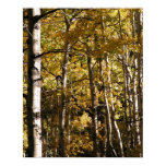 Aspen Gold