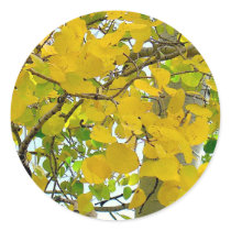 Aspen Gold Sealers! stickers by dawntheartist Aspen Gold Sealers! stickers