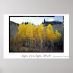 Aspen Grove, Aspen, Colorado Poster