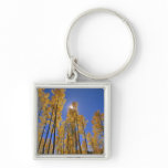 Aspen grove in autumn in the San Juan Range of Key Chain