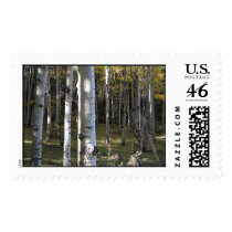 Aspen Grove Postage Stamps