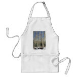 Aspen grove, San Francisco Mountains, CaliforniaA aprons