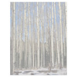 Aspen grove, San Francisco Mountains, CaliforniaA Letterhead