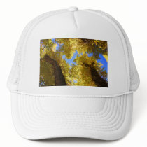aspen hats by WorldDesign aspen hats