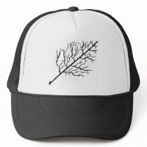 Aspen in White Trucker Hat