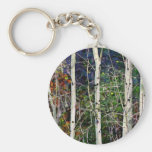 Aspen   key chain