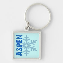 Aspen Key Chain
