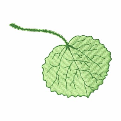 Aspen Leaf Aspen Leaf