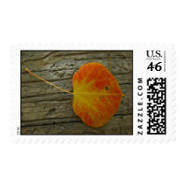 Aspen leaf on wood postage
