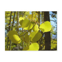 Aspen leaf postcard by blinhart Aspen leaf postcard