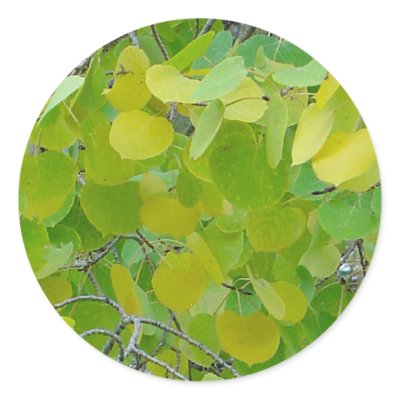 Aspen Leaf Stickers by dawntheartist