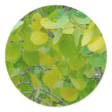 Aspen Leaf Stickers by dawntheartist Aspen Leaf Stickers