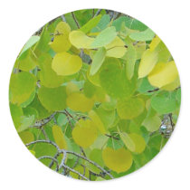 Aspen Leaf Stickers by dawntheartist Aspen Leaf Stickers